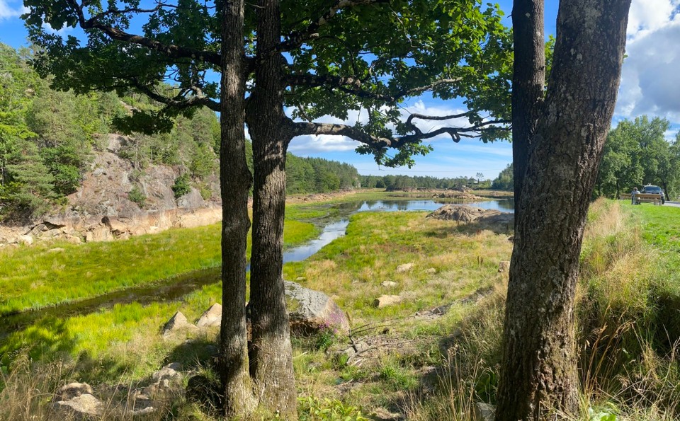 Norwegen - Evje - Die erste kurze Pause und schon ein erstes schönes Plätzchen zum kleinen Picknick.