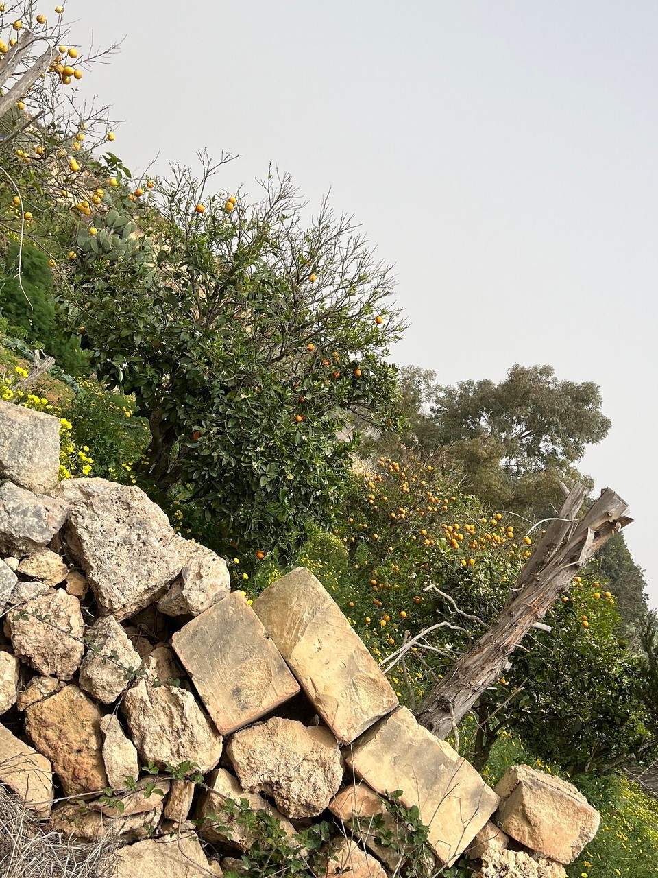 Malta - Qala - 