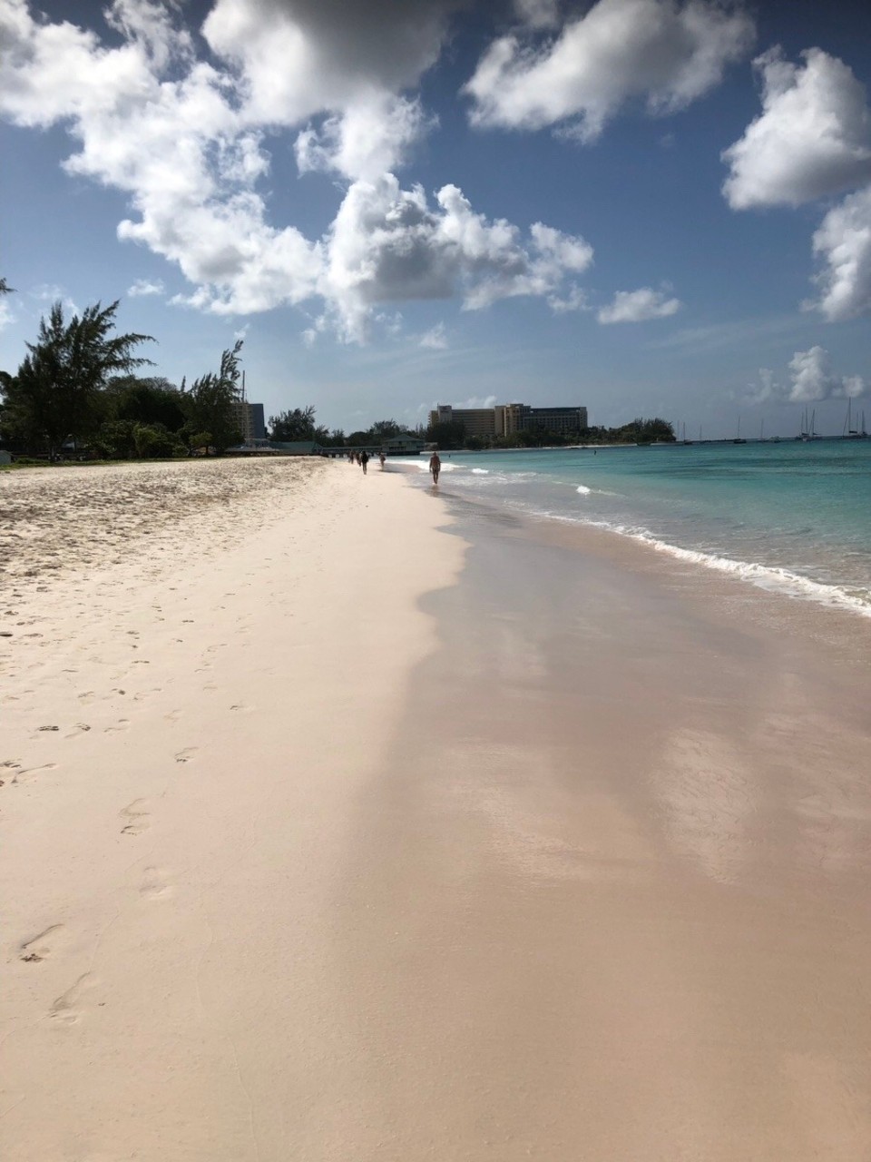 Barbados - Bridgetown - 