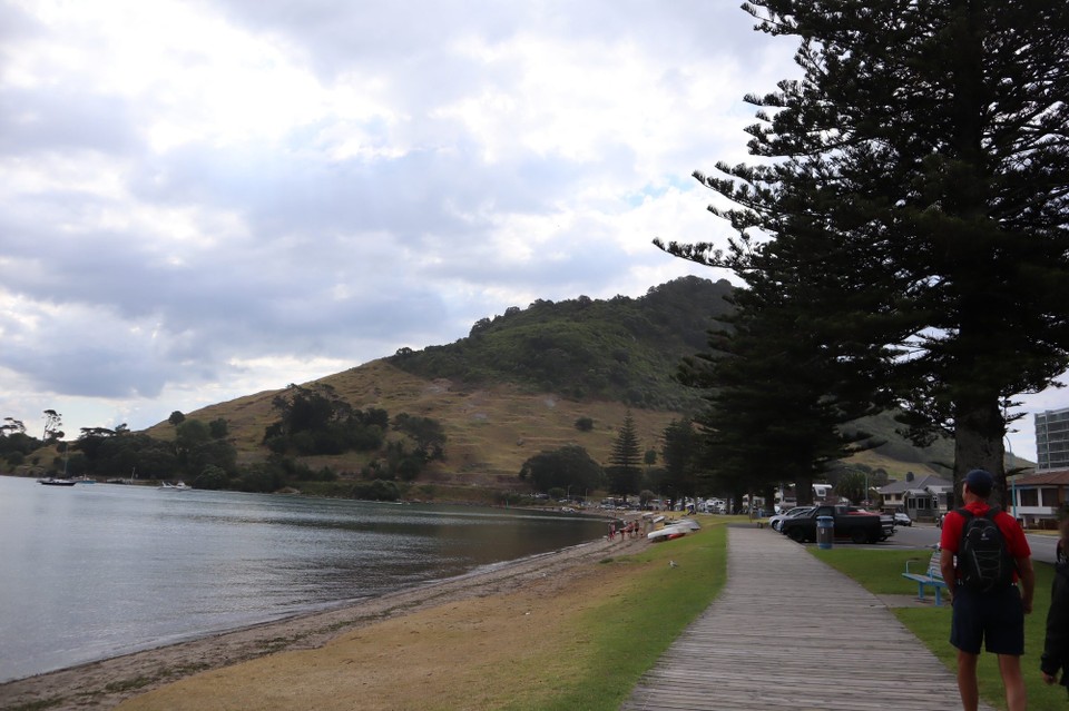 Neuseeland - Matakana Island - 