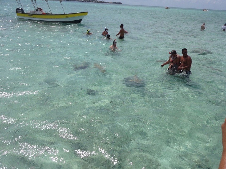 Französisch-Polynesien - Bora-Bora - Hier freuen sich alle über die Rochen und Haie und Morgen gibs mehr über Bora -Bora