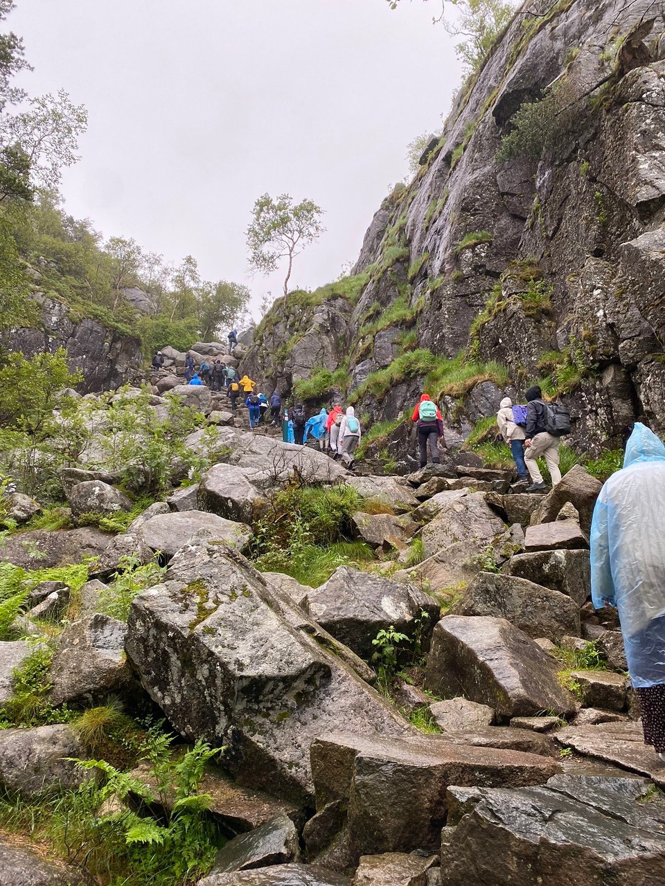 Norwegen - Jørpeland - Teilweise wars auch eine Völkerwanderung. Was geht hier ab wenn es Hochsaison und schönes Wetter ist? 🙄