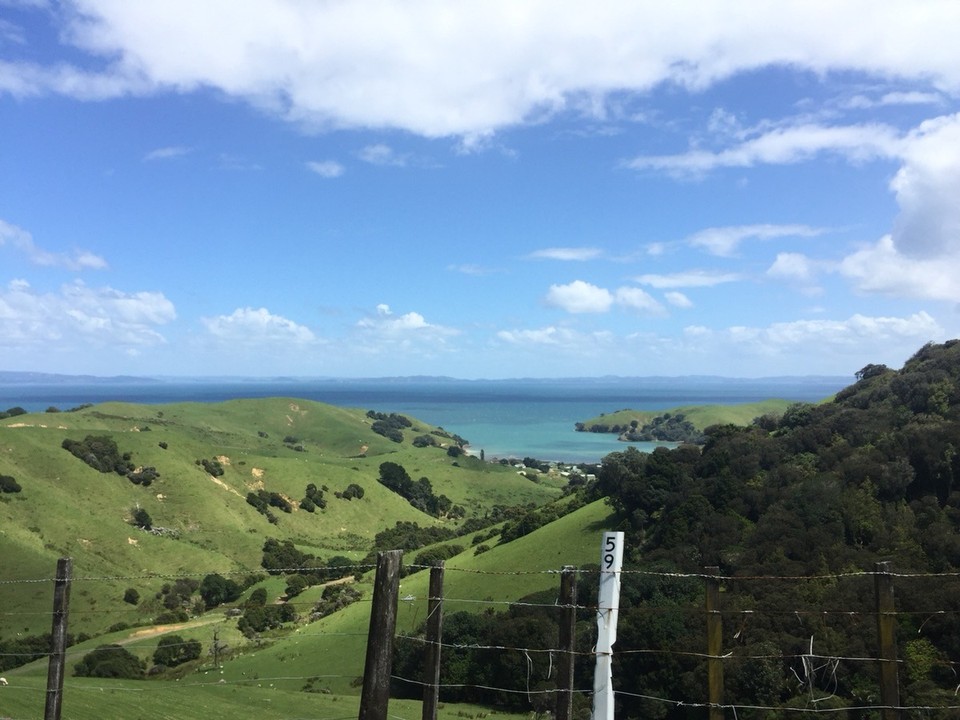 Neuseeland - Coromandel - 