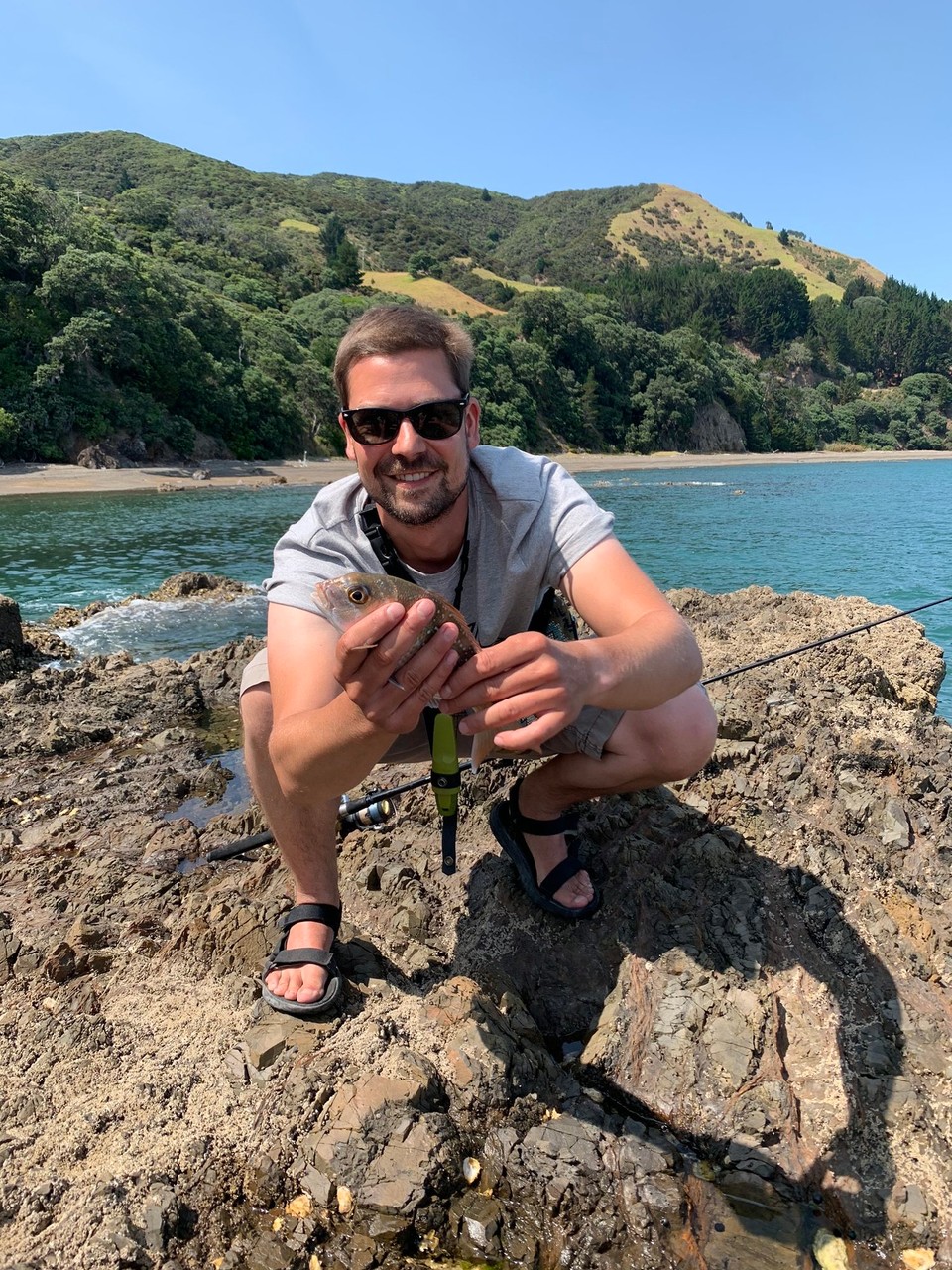 Neuseeland - Amodeo Bay - 
