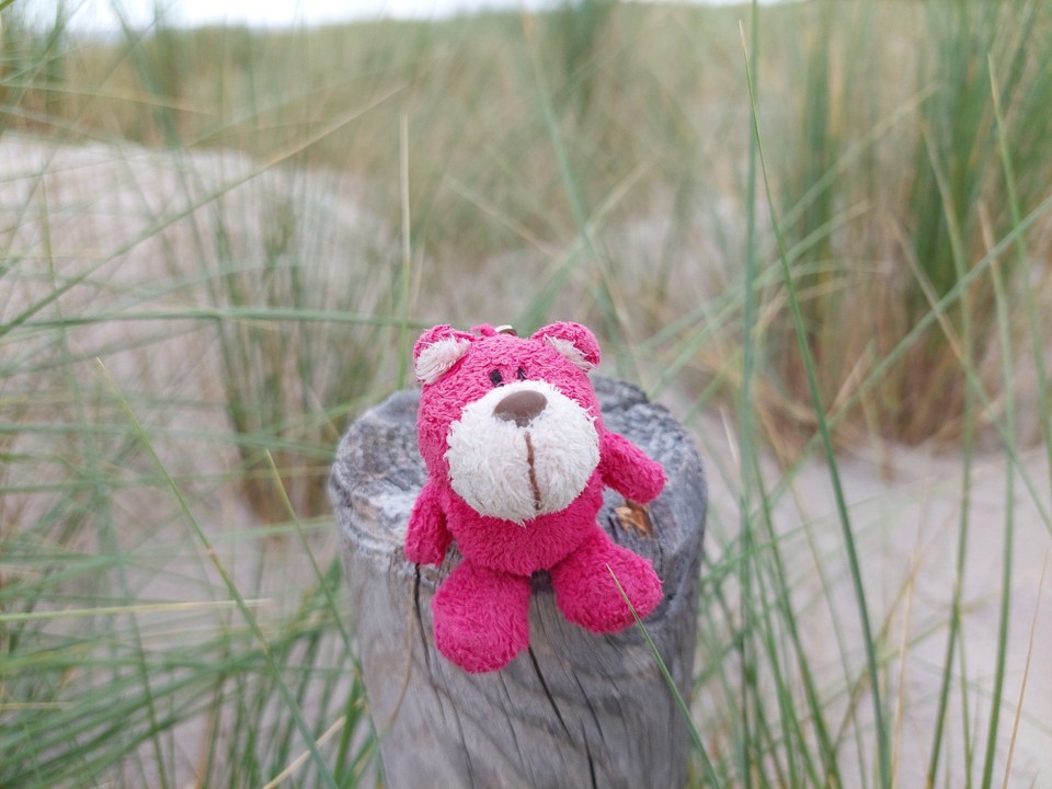 Deutschland - Graal-Müritz - Unser Maskottchen