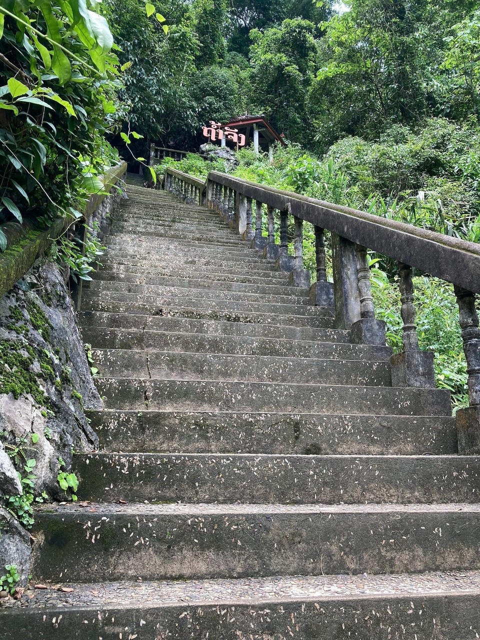 Laos - Vangvieng - Hoch hinaus und Höhle in einem 🙃 Tham Chang Cave