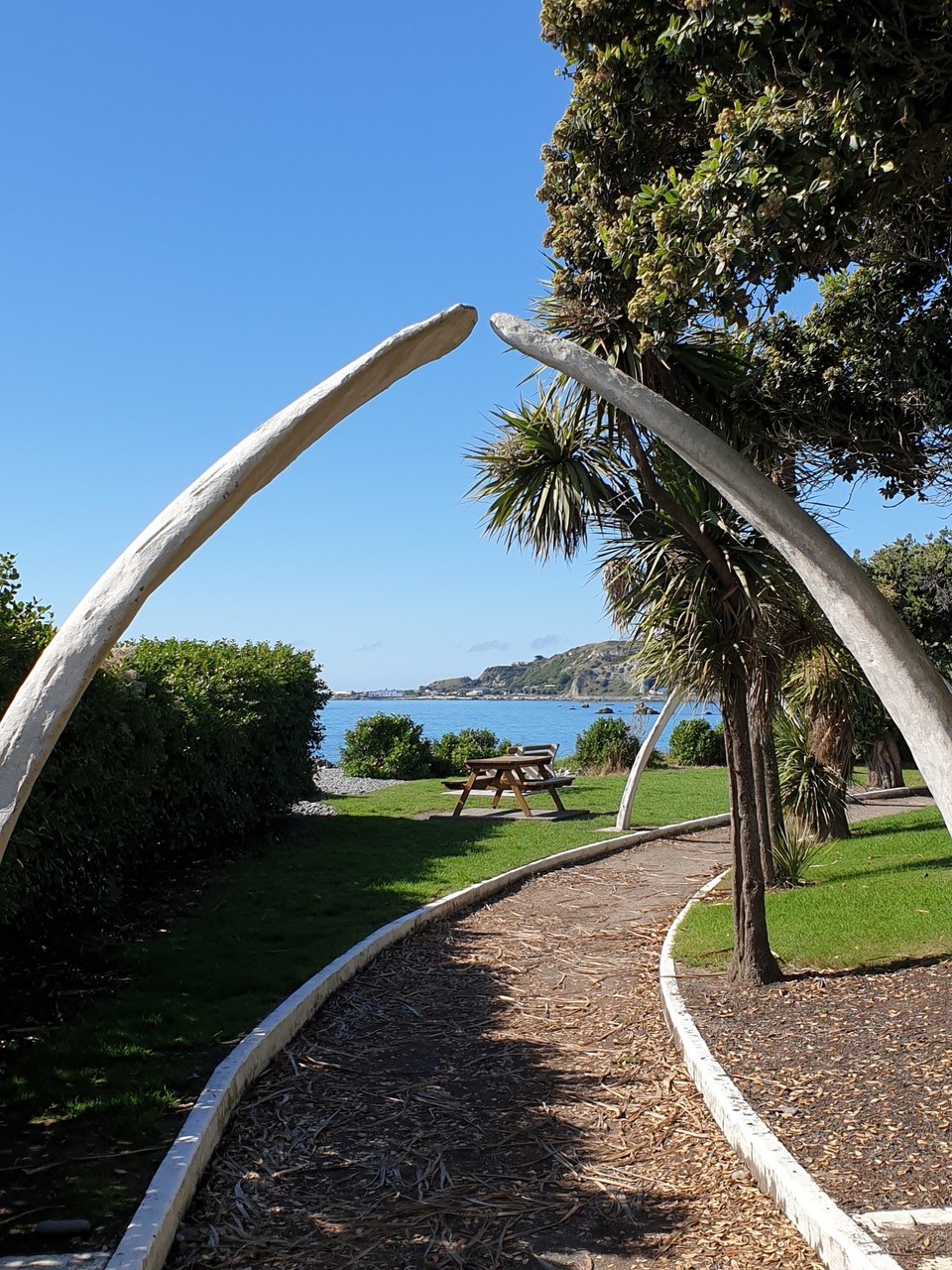 Neuseeland - Kaikoura - 