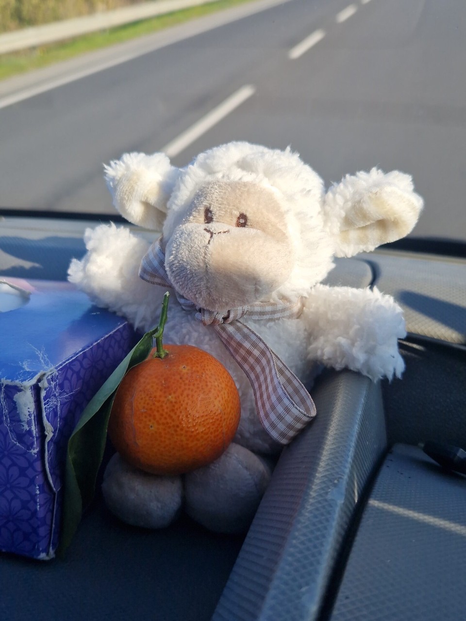 Italien - Senise - Karl hat sich gleich ne frische Mandarine 🍊 gemopst…
