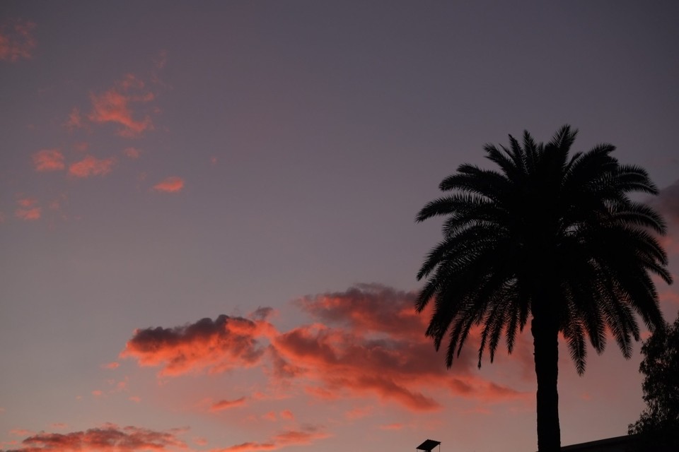  - Frankreich, Nizza - 