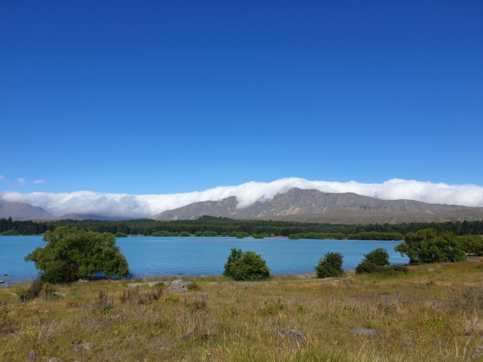 Neuseeland - Lake Tekapo - 