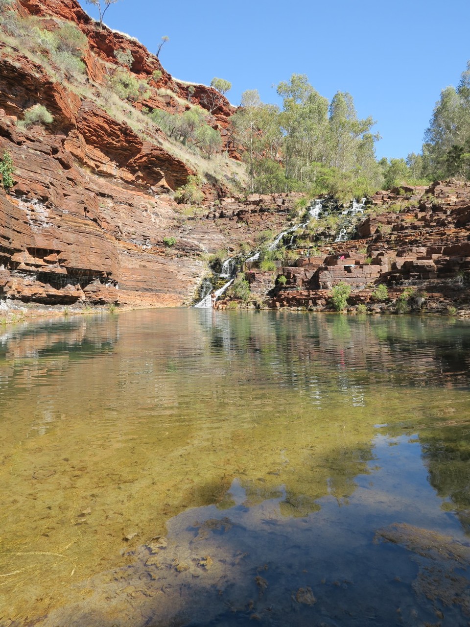 Australia - Karijini - Dale gorge : baignade rafraichissante