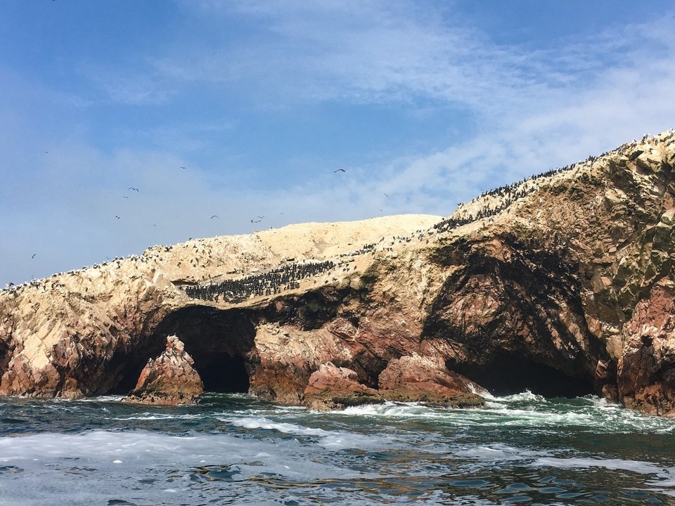 Peru - Paracas - 