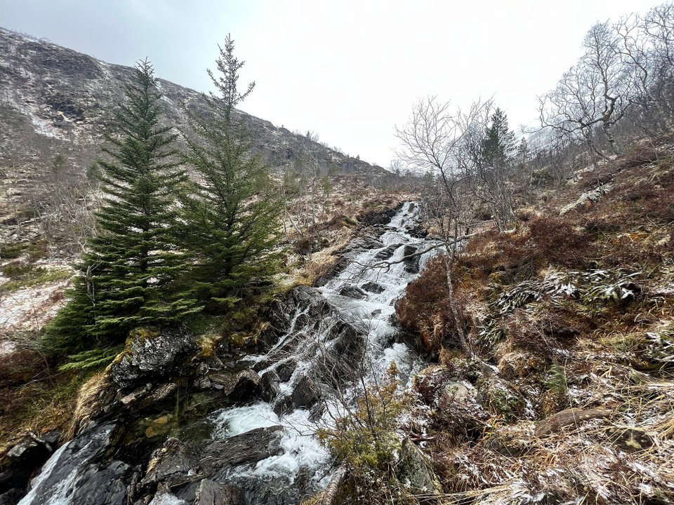 Norwegen - Elnesvågen - 