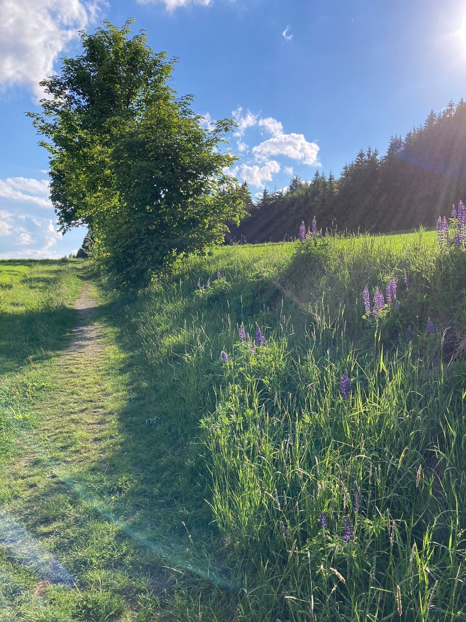 Deutschland - Naila - Wanderung nach Döbra