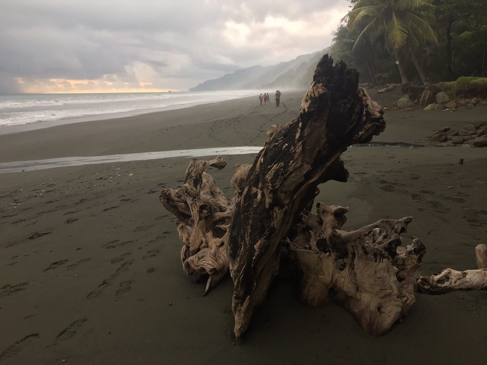 Costa Rica - Osa - 