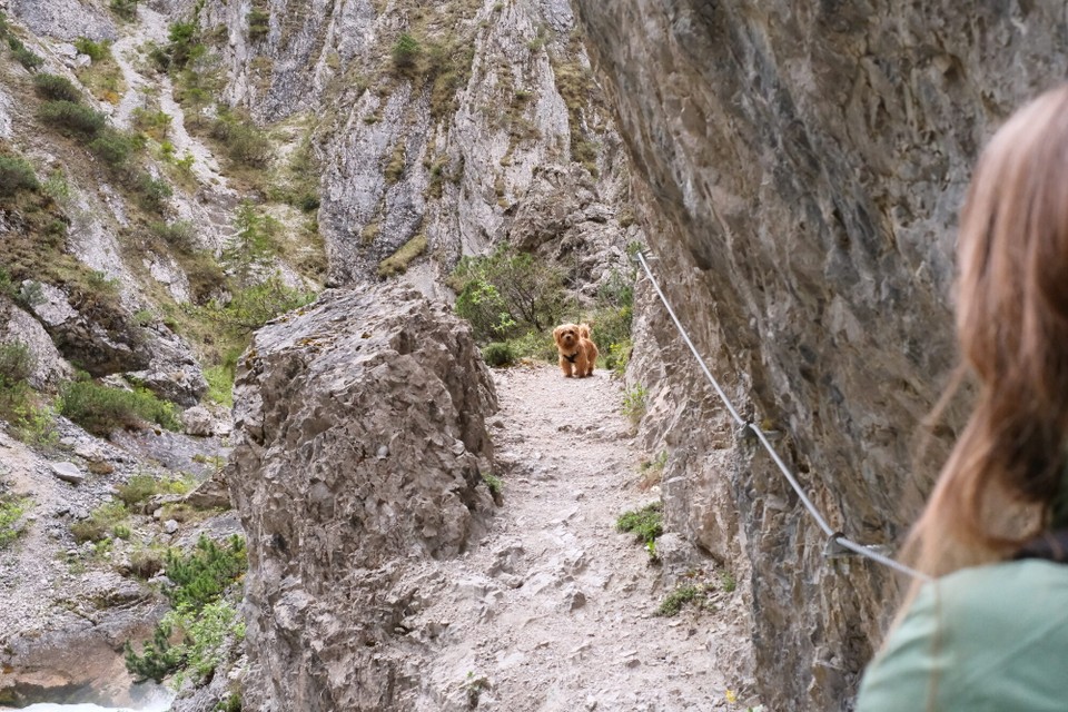 Österreich - Scharnitz - 