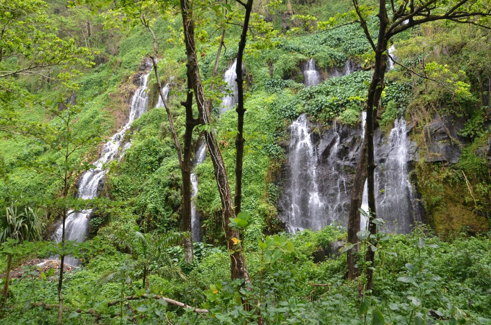 Réunion - Pointe des Galets - Anse des cascades