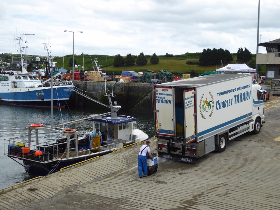 Ireland - Kinsale - After our swim we had more visitors. Julia and Alistair with their crew came in on their Southerly 105, Gigha, last night. Of course, as fellow Southerly owners we’re always keen to meet and swap stories, and they came aboard to look around Avalon. 