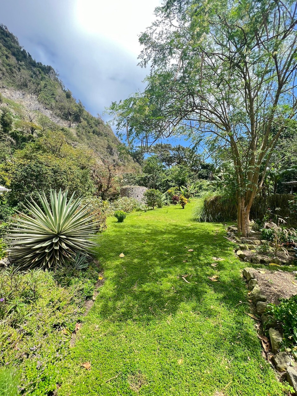 Dominica -  - 