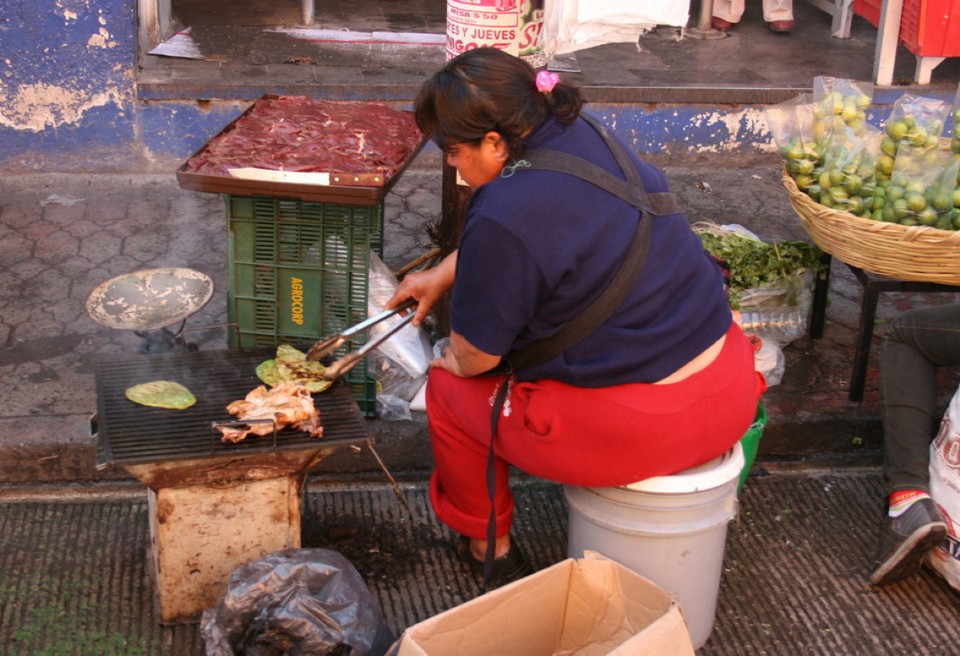 Mexiko - Puebla - Gegrillter Kaktus ...wird beim nächsten Besuch probiert