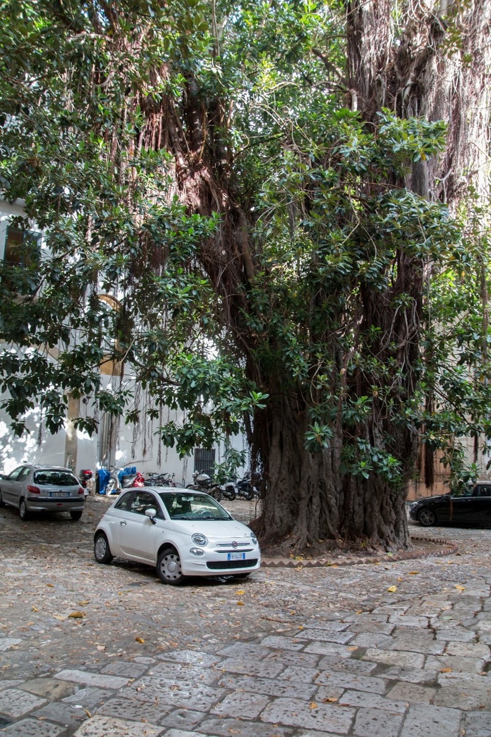 Italien - Palermo - 