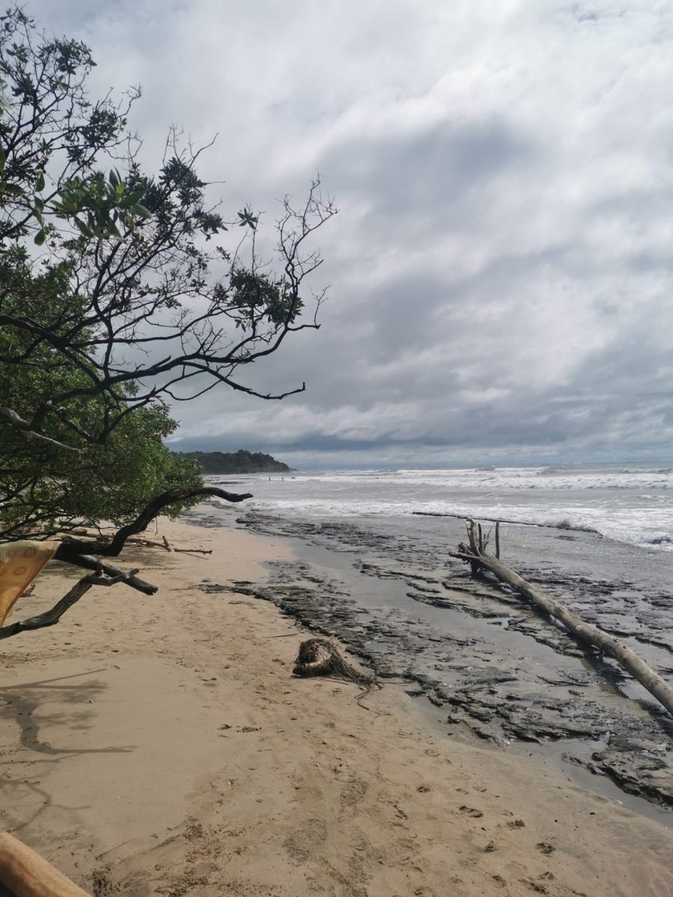 Costa Rica - Santa Cruz - Am Mittag haben wir wieder einen gemeinsamen Ausflug an einen Strand gemacht…