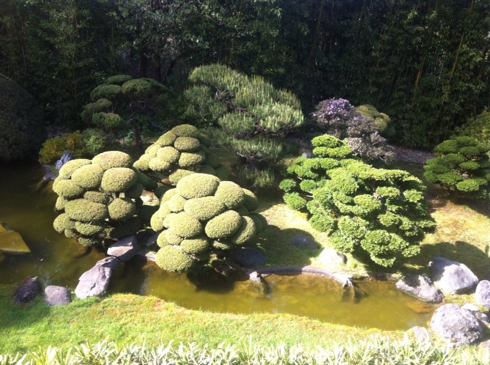 Egyesült Államok - San Francisco - 