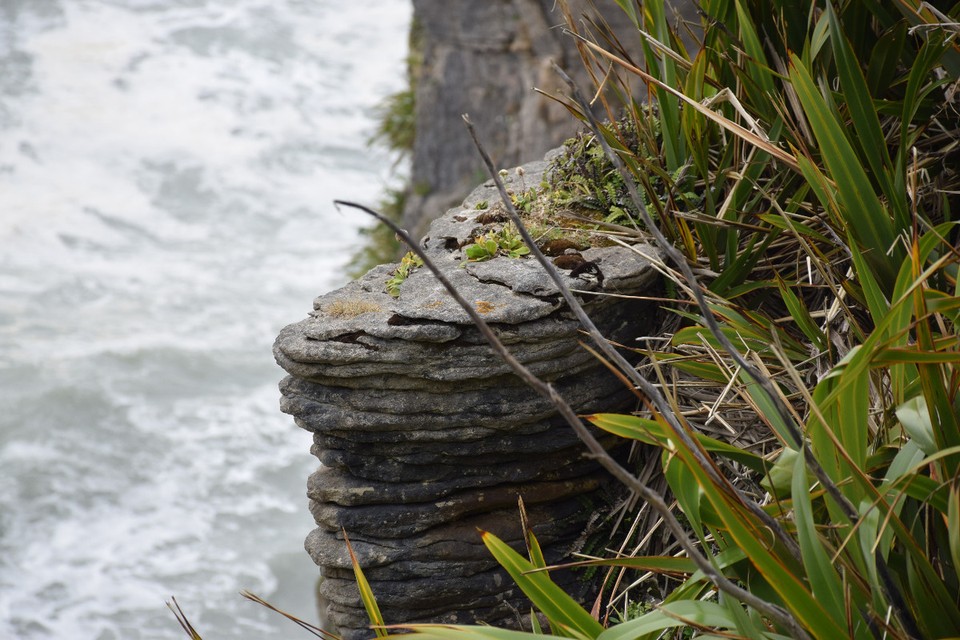 Neuseeland - Pancake Rocks - 