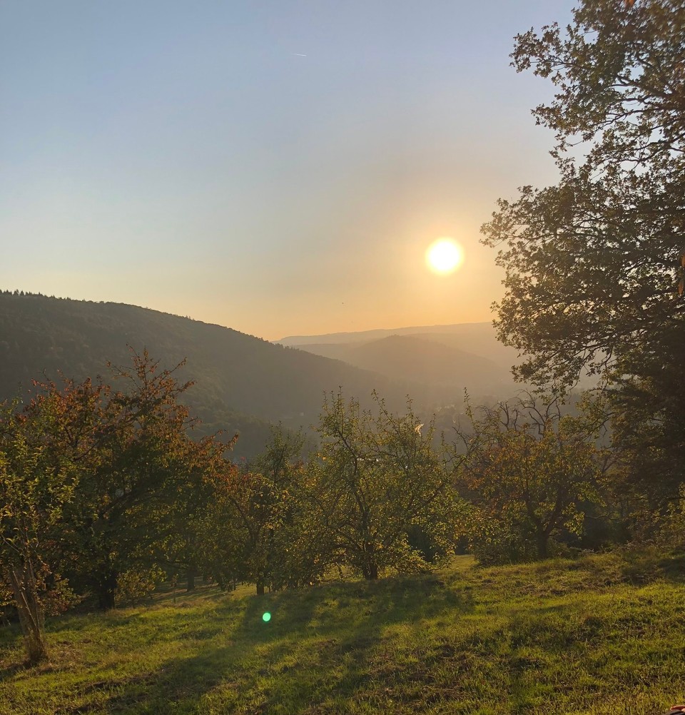 Deutschland - Ludwigshafen - Blick auf den Neckar