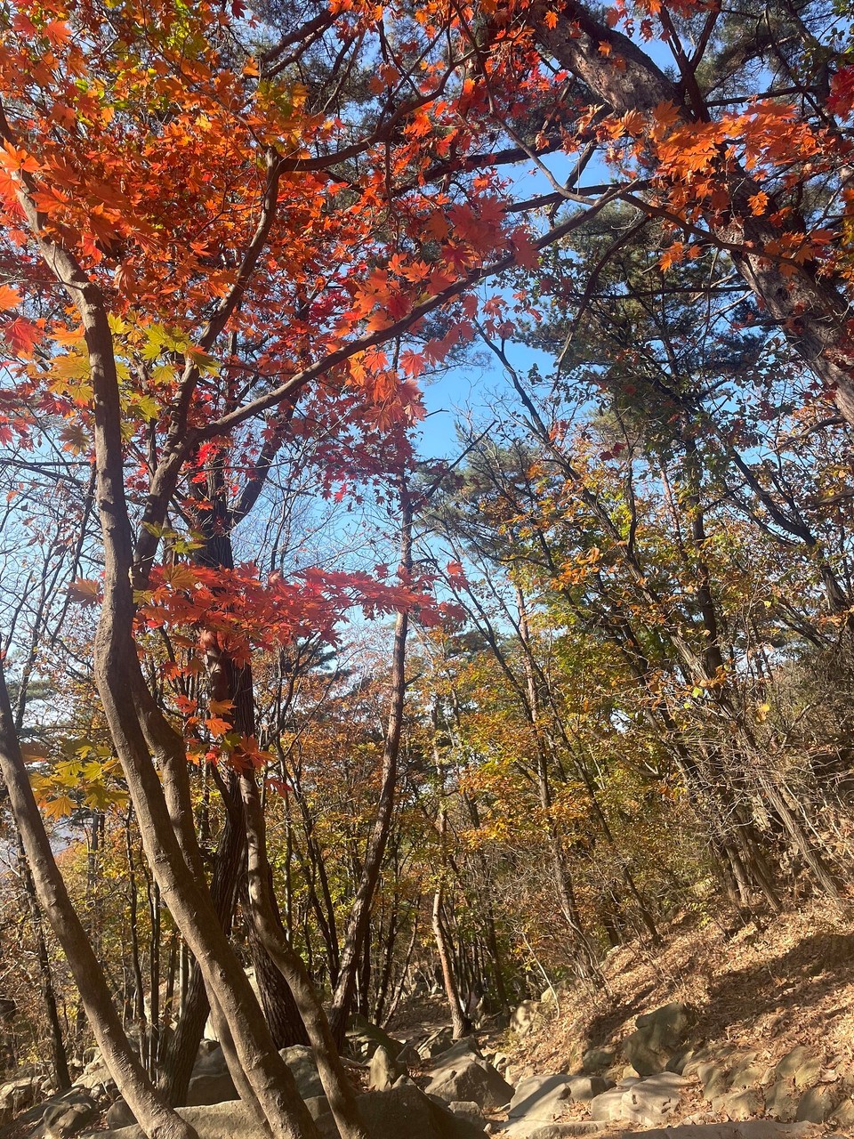 대한민국 - 과천시 - 