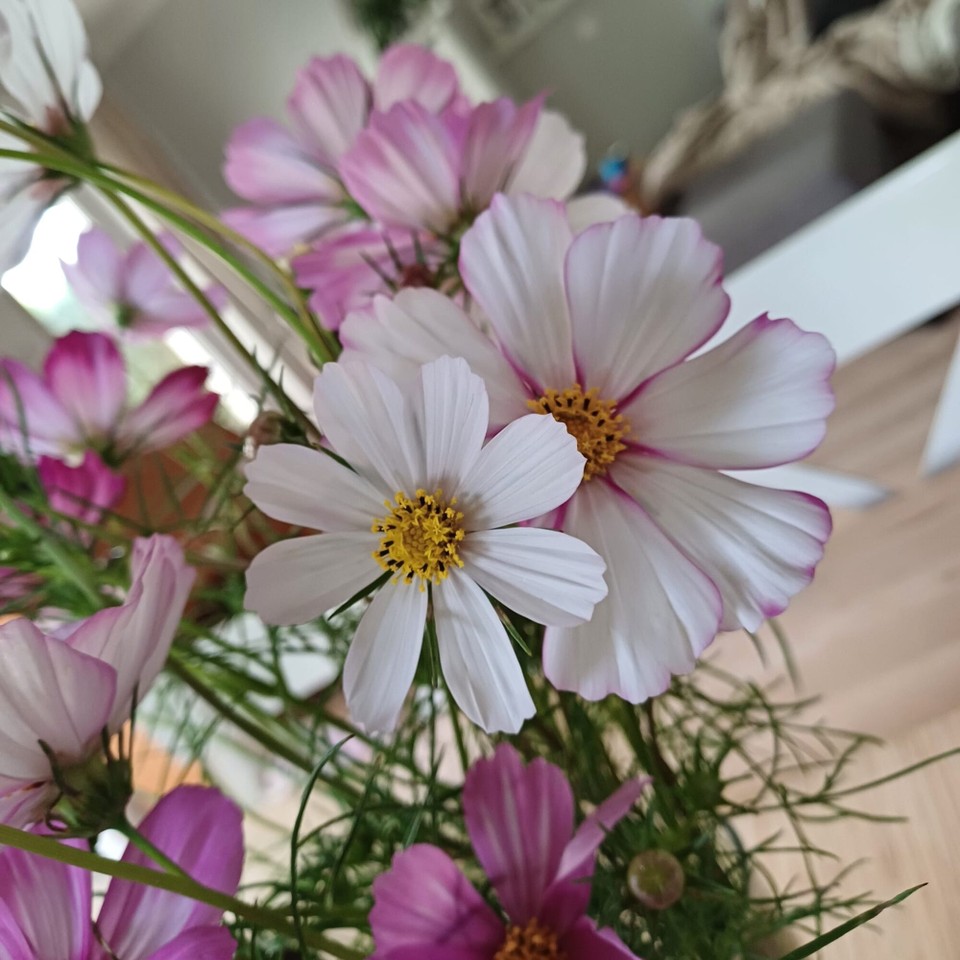 Deutschland - Herten - 