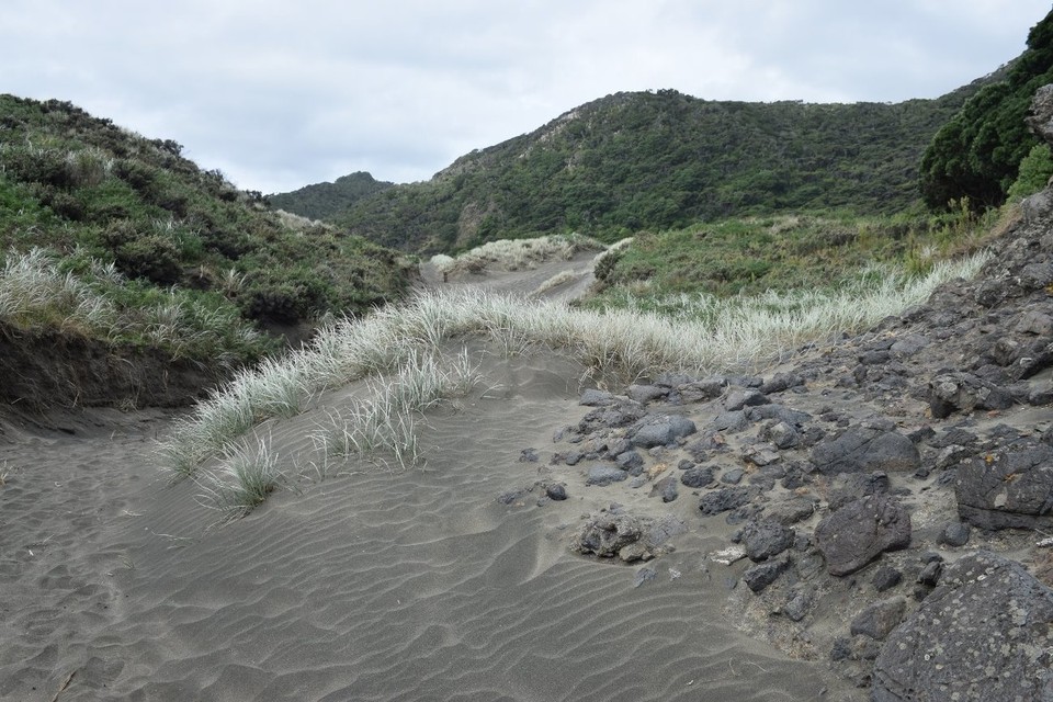 Neuseeland - Karekare - 