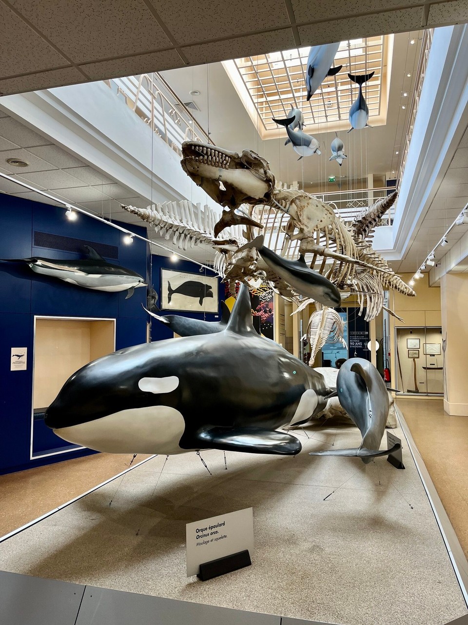 Frankreich - Vieux-Boucau-les-Bains - 