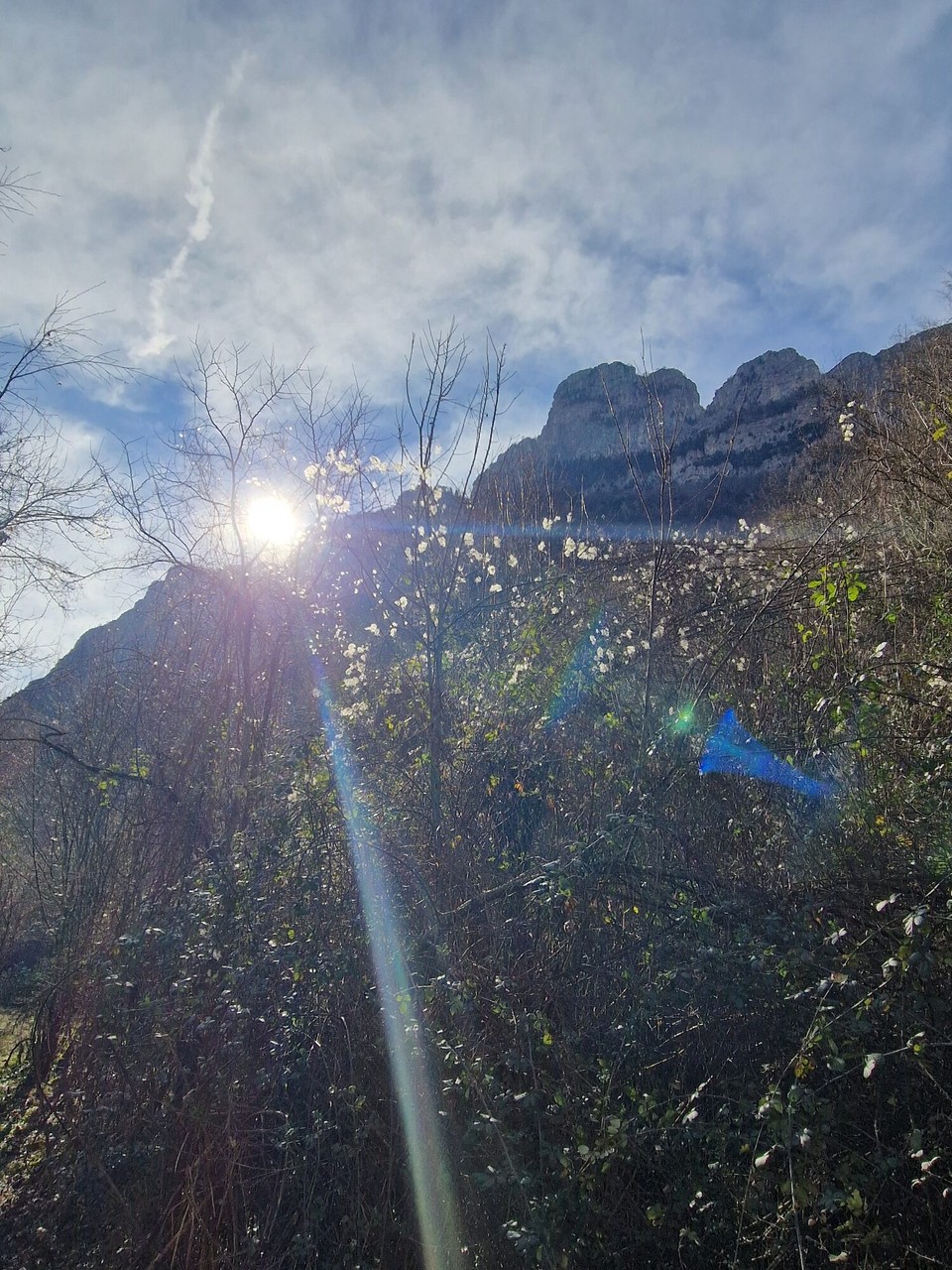 Griechenland - Vikos - 