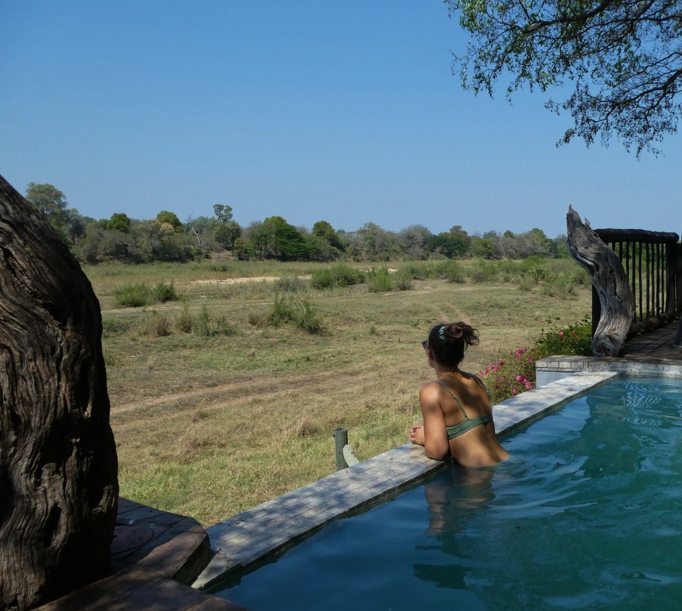 Südafrika - Kruger-Nationalpark - Vom Pool aus Tiere beobachten