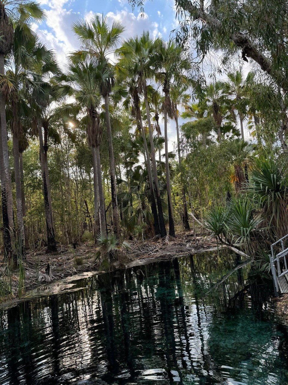 Australien - Katherine South - Bitter Springs 