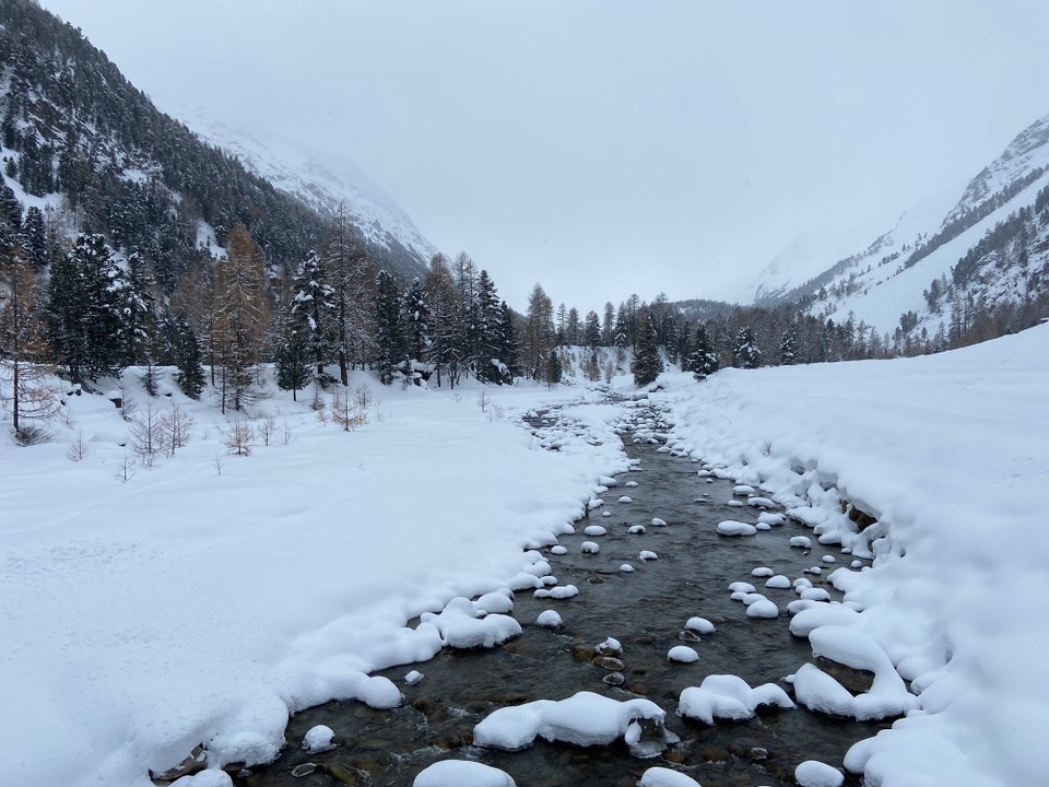 Schweiz - Pontresina - 