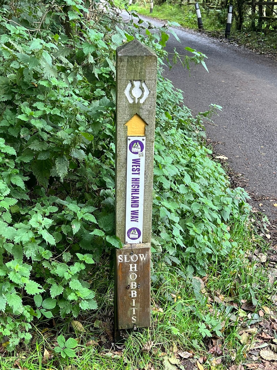 Vereinigtes Königreich - Glasgow - 