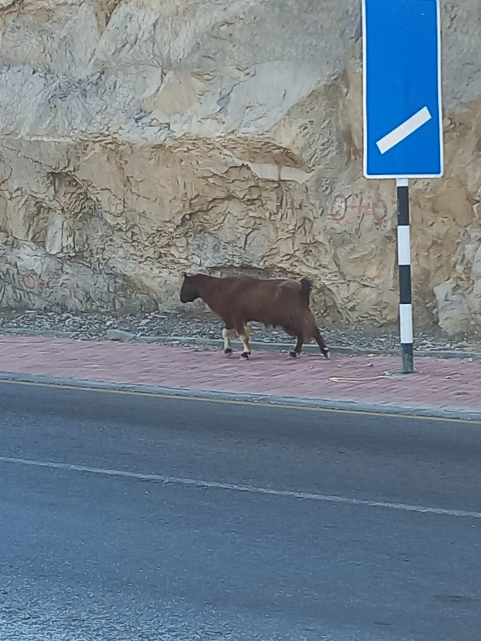 Oman - al-Chasab - 
