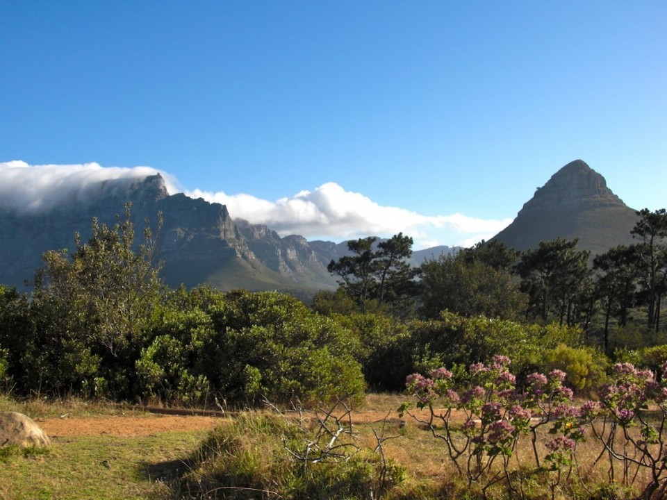 Südafrika - Kapstadt - Der Lionshead liegt gegenüber