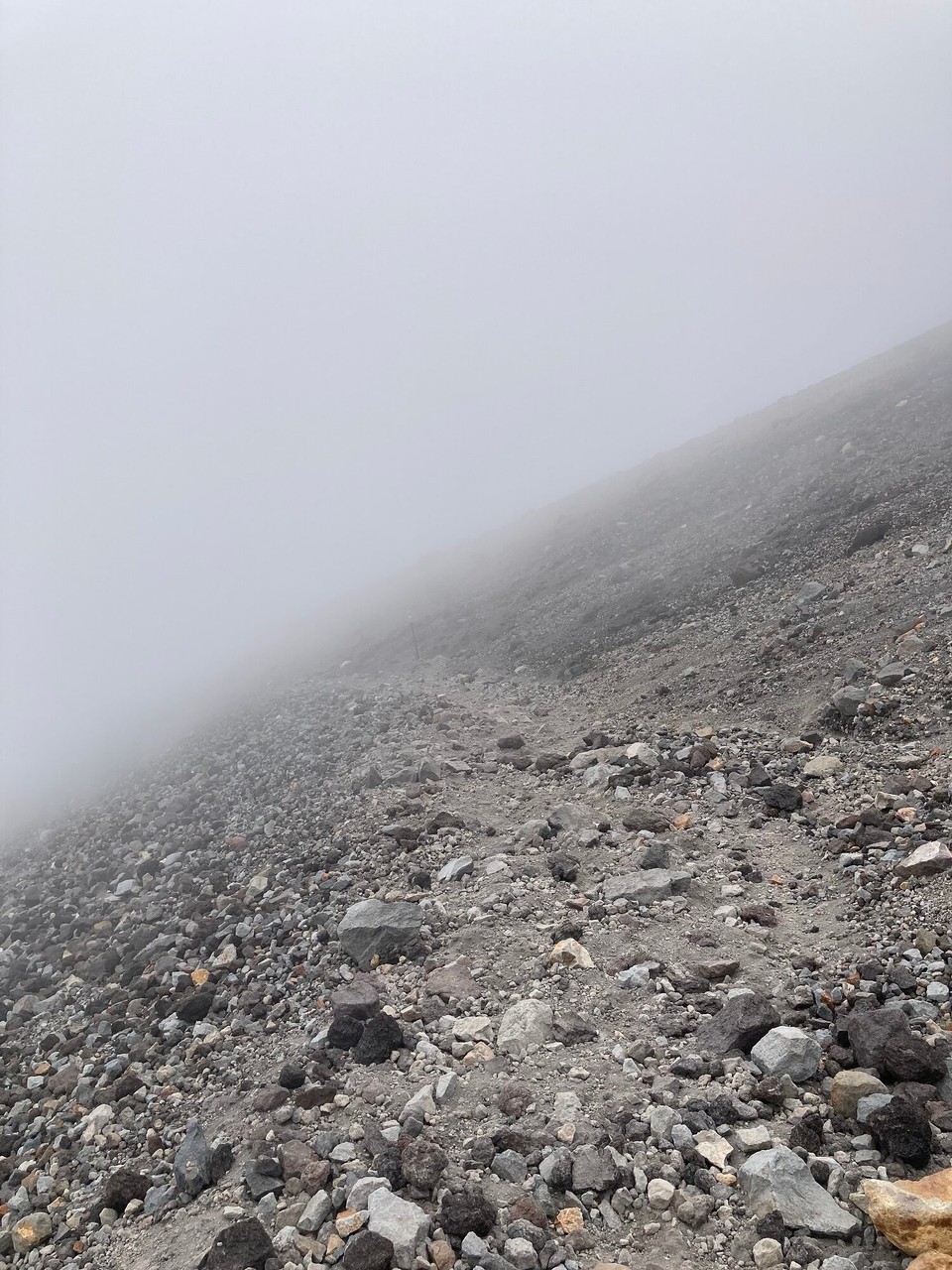 Neuseeland - Egmont National Park - 