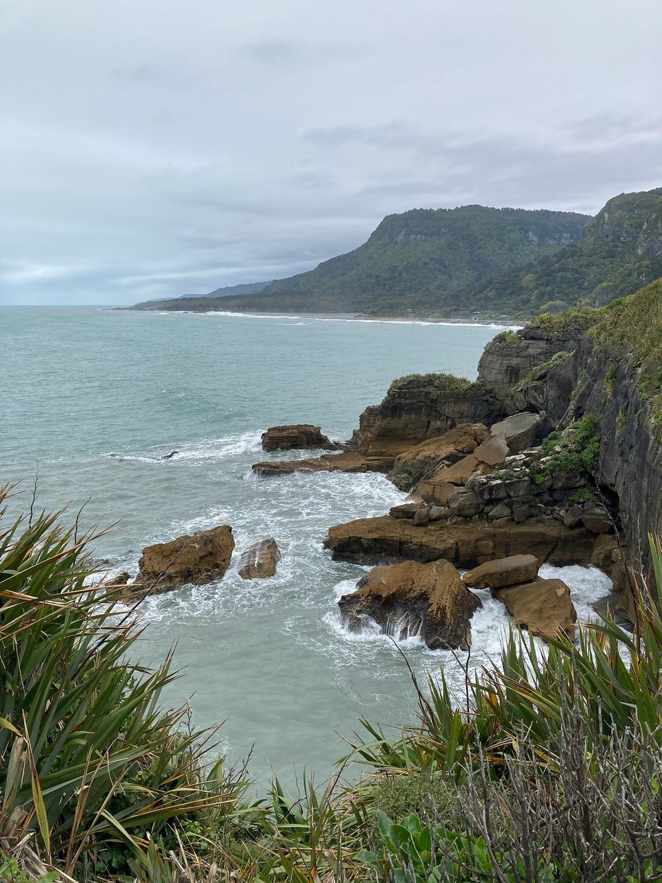 Neuseeland - Paparoa National Park - 