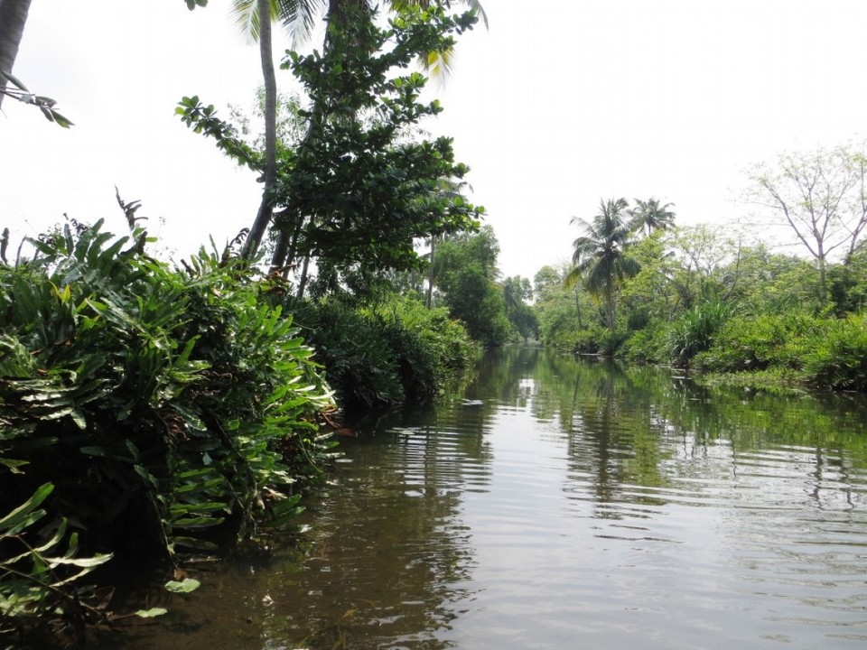 Indien - Cochin - Ausflug in die Backwaters