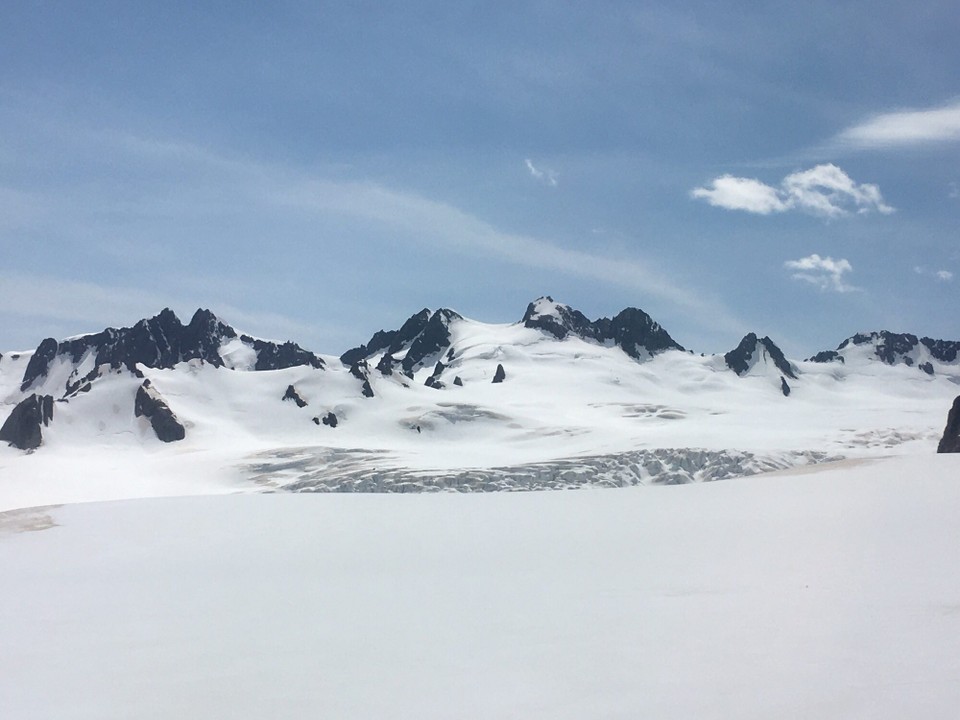 Neuseeland - Fox Glacier - 