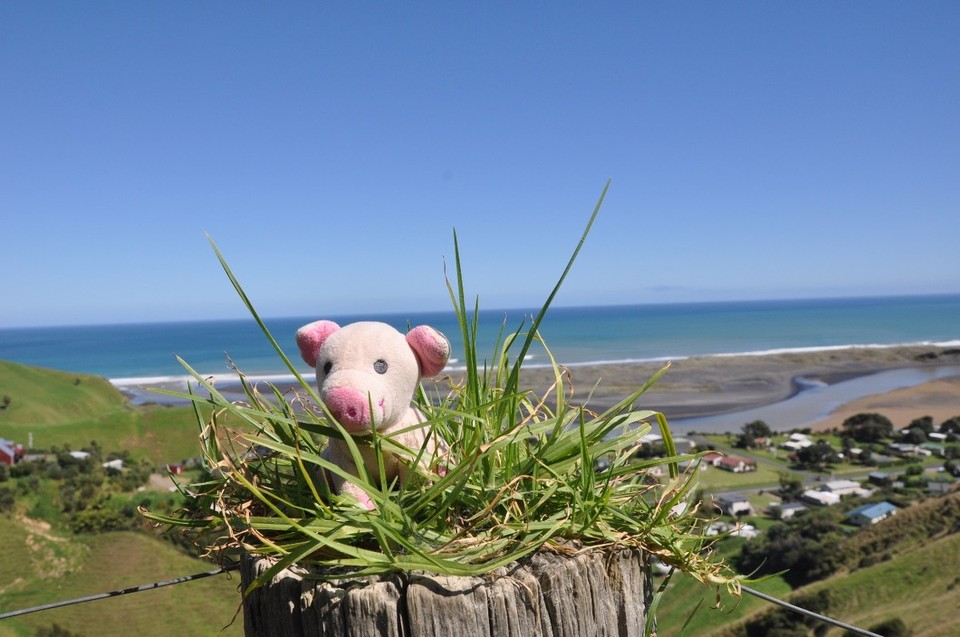 Neuseeland - Waitomo-Distrikt - Tolle Aussicht