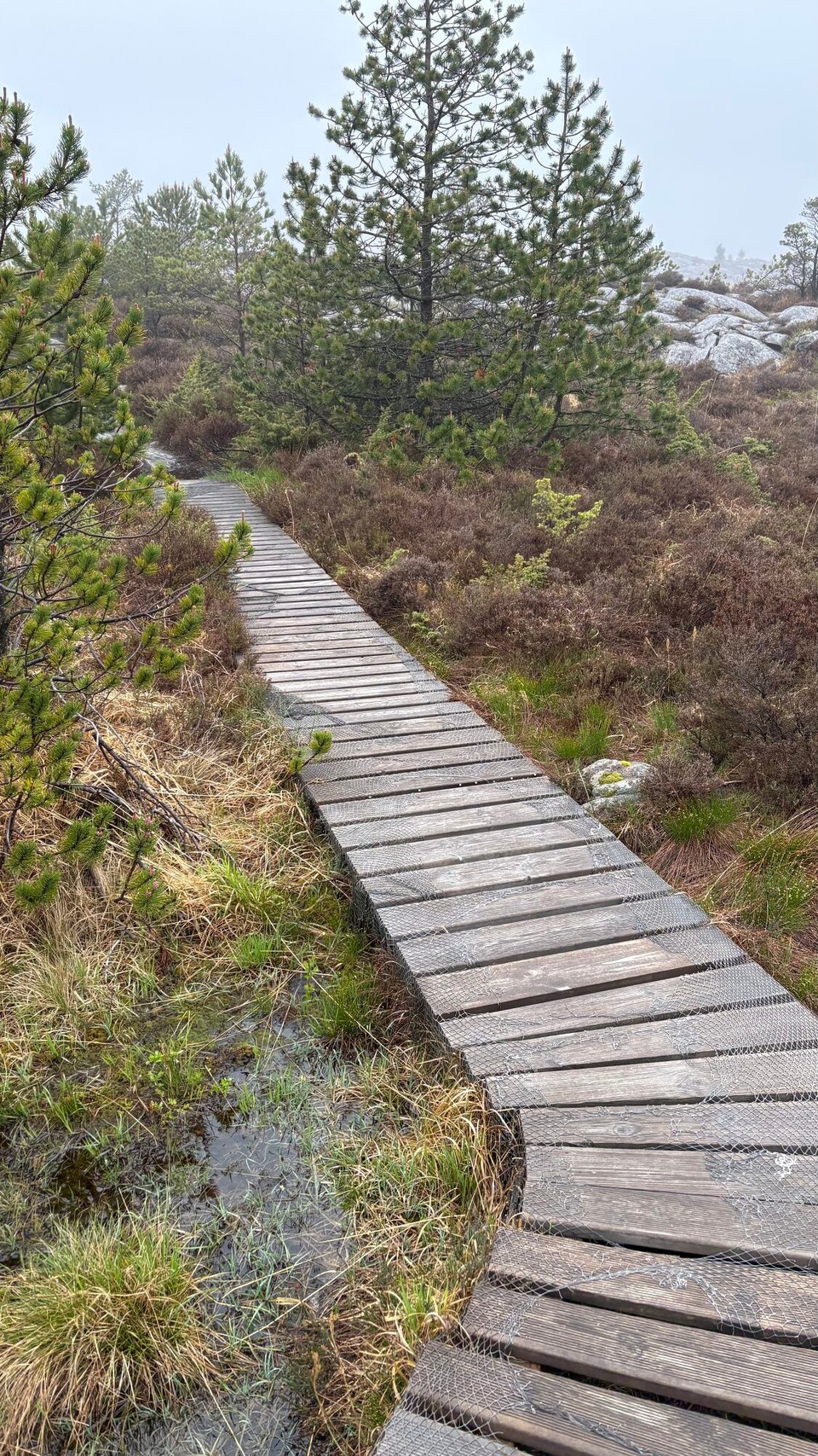 Norwegen - Svortland - über Bretterdielen
