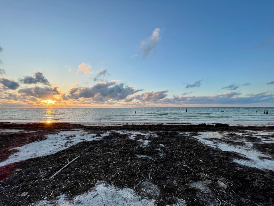 Mexiko - Isla Holbox - 