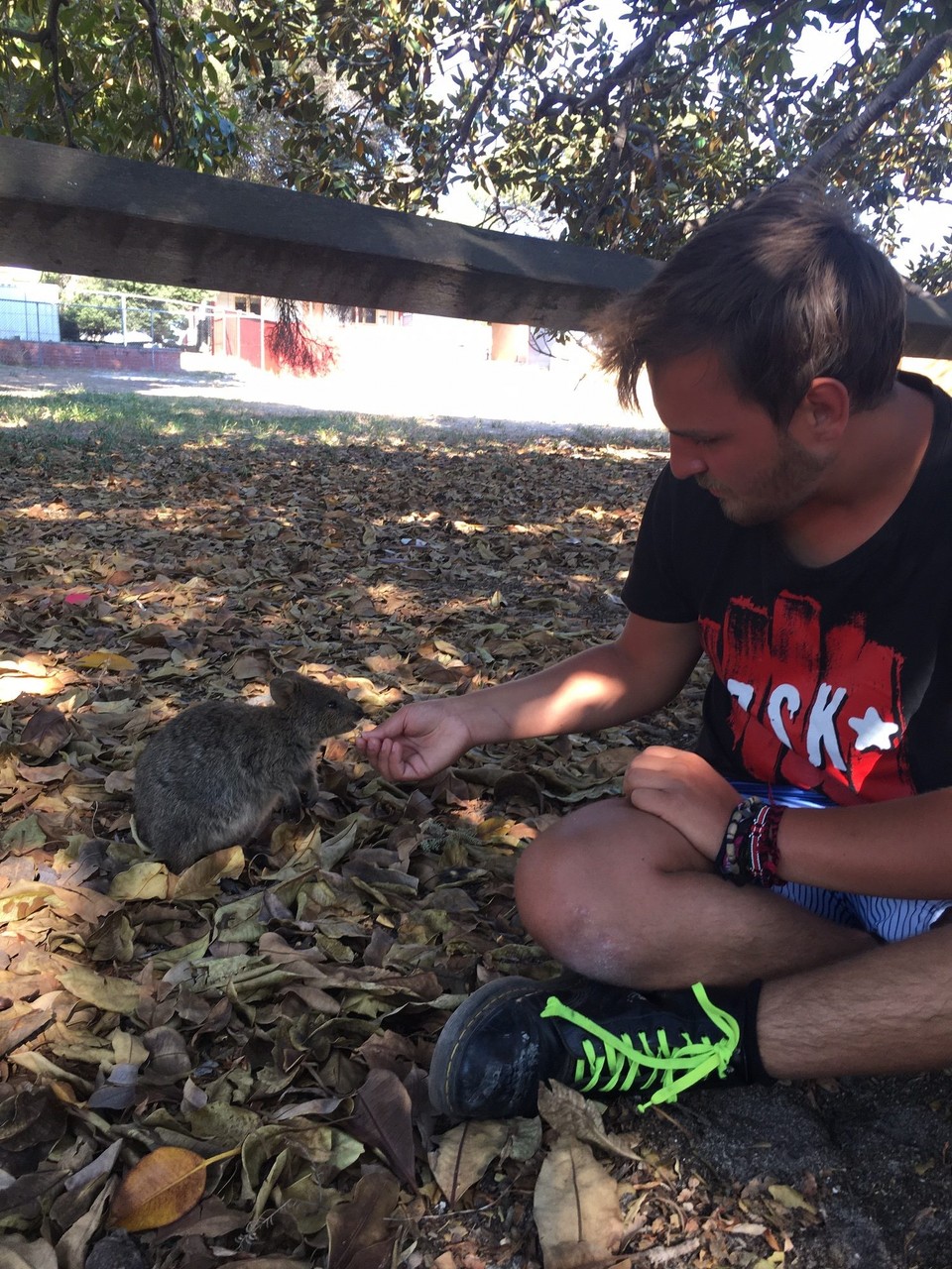 Australien - Rottnest Island - 