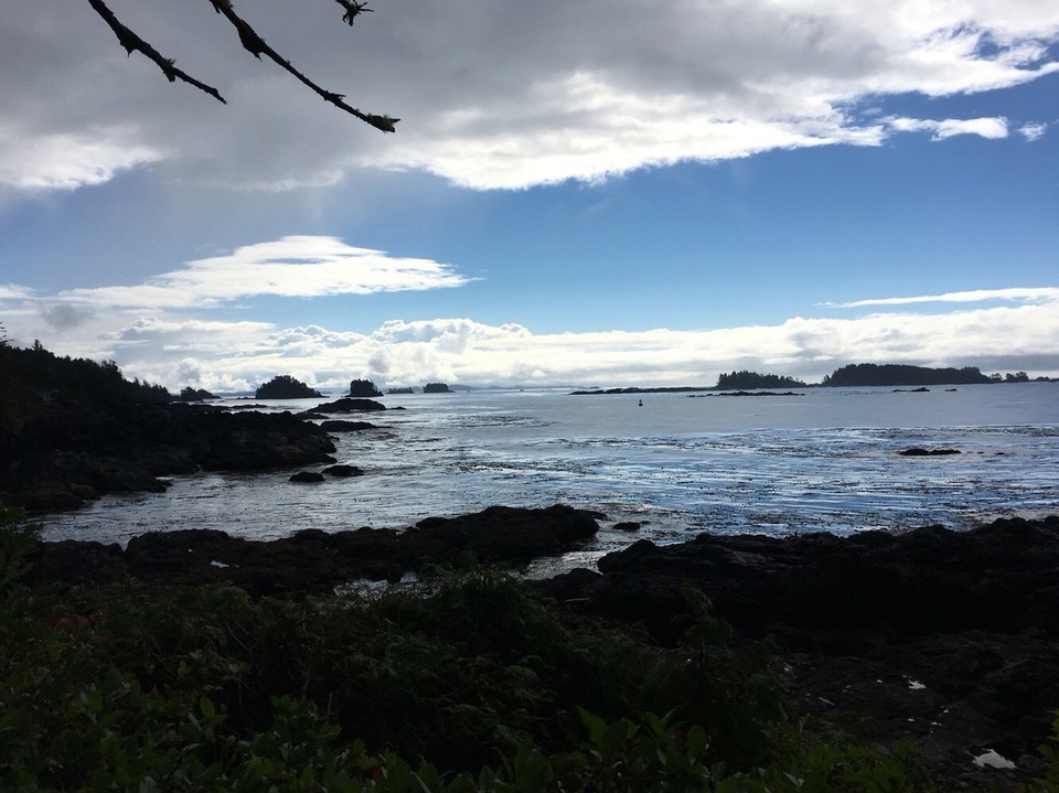 Kanada - Tofino - Der Wild-Pacific-Trail zeigt einem die Küstenschätze der Insel, also wenn man mich fragt. Wunderschöner Weg. 