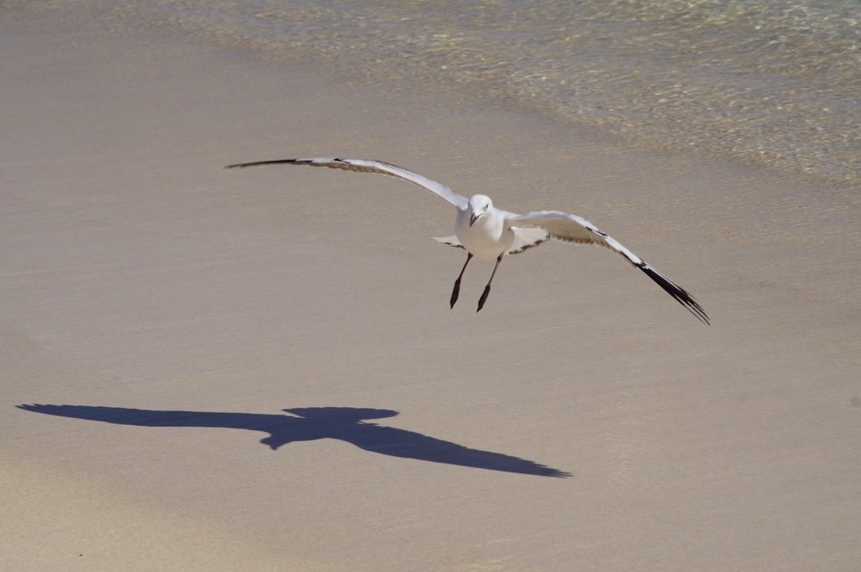  - Australien, Cape-Range-Nationalpark - 